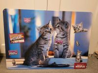 ❤️ Magnetwand mit Katzen Motiv & Magneten 50x70 cm ❤️ Nordrhein-Westfalen - Gevelsberg Vorschau