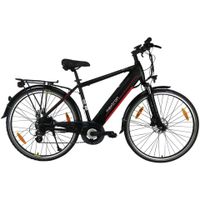 Maxtron MT-11 Trekking -NEU- E-Bike Sonderangebot Niedersachsen - Oldenburg Vorschau