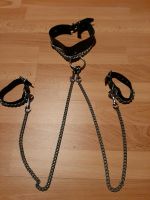 Metal-Leder Halsband,  m.Karabinern, Ketten, Armbändern Thüringen - Weimar Vorschau