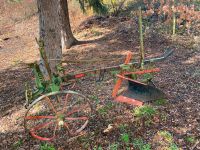 Pferde Pflug antik vintage, Deko, Sammler... Baden-Württemberg - Donaueschingen Vorschau