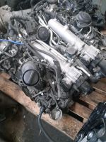Motor ALFA ROMEO STELVIO 670050436 15tkm 2.9T Q4 510ps komplett Mecklenburg-Vorpommern - Neubrandenburg Vorschau