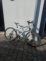 Mountainbike Bulls Jugendliche/Damen Baden-Württemberg - Neuenstein Vorschau