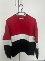 Hoodie (Tommy Jeans) Hessen - Gießen Vorschau