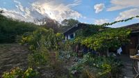 Haus mit Grundstück und viel noch alles Bio Natur Baden-Württemberg - Freiburg im Breisgau Vorschau