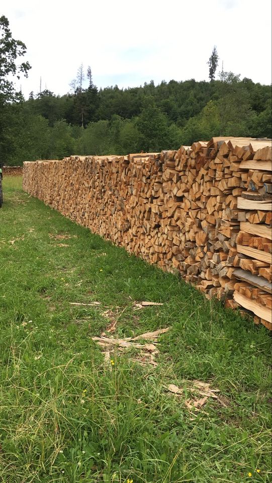 Brennholz Kaminholz Feuerholz trocken je Raummeter Ofenlänge in Michelfeld