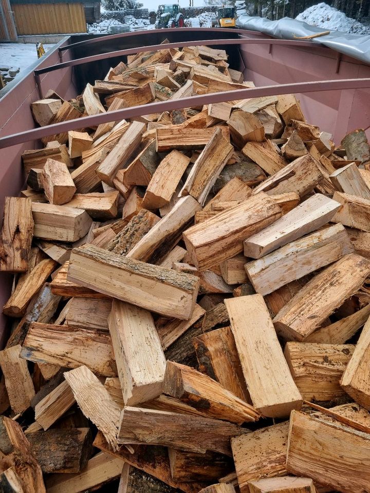 Brennholz zu verkaufen in Freiburg im Breisgau