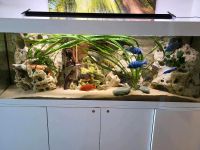 Fluval Vollspektrum LED Bayern - Hirschaid Vorschau