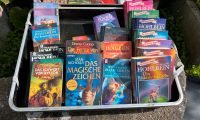 Diverse Fantasy Bücher Wolfgang Hohlbein Marion Zimmer-Bradley Bayern - Erlangen Vorschau