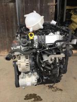 Motor Audi 2.0 TDI CUW CUWA CUWB 184PS NEU komplett Berlin - Wilmersdorf Vorschau