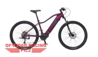 E-Bike 29" EASYBIKE ELECTRA VIOLETT - Elektrofahrrad Sachsen - Wolkenstein Vorschau