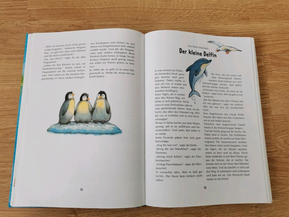 Buch Mein bärenstarkes Tiergeschichtenbuch in Minden