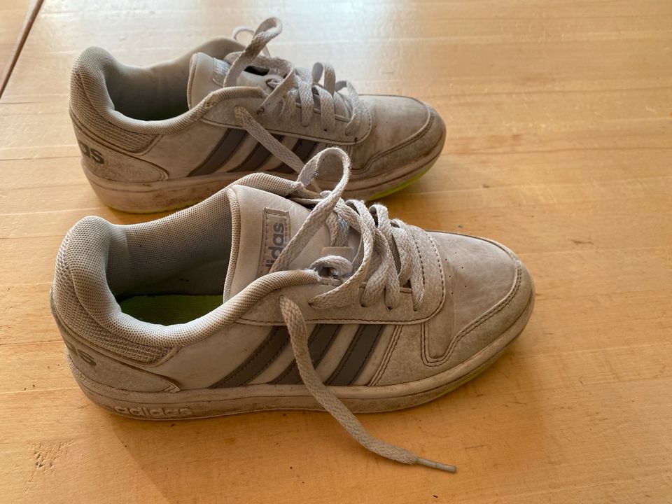 Adidas Sportschuhe Gr 36 in Gebesee