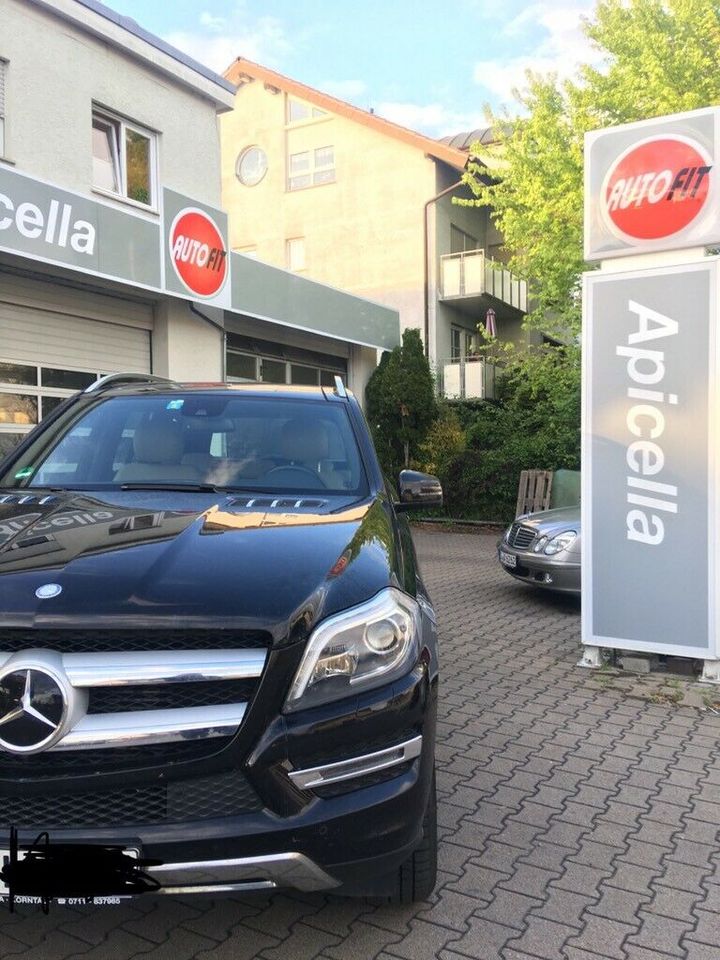 Getriebespülung nach Tim Eckart-Methode für Mercedes,BMW,VW,Audi in Korntal-Münchingen