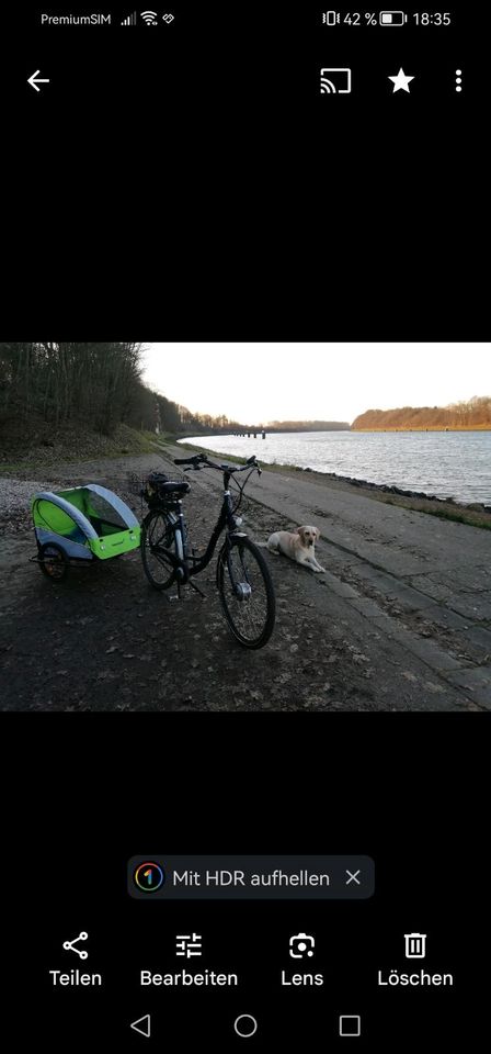 Fahrradanhänger, Hunde Anhänger in Kiel