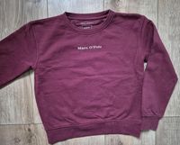 Marco Polo Sweatshirt Gr. 116 122 Nordrhein-Westfalen - Troisdorf Vorschau