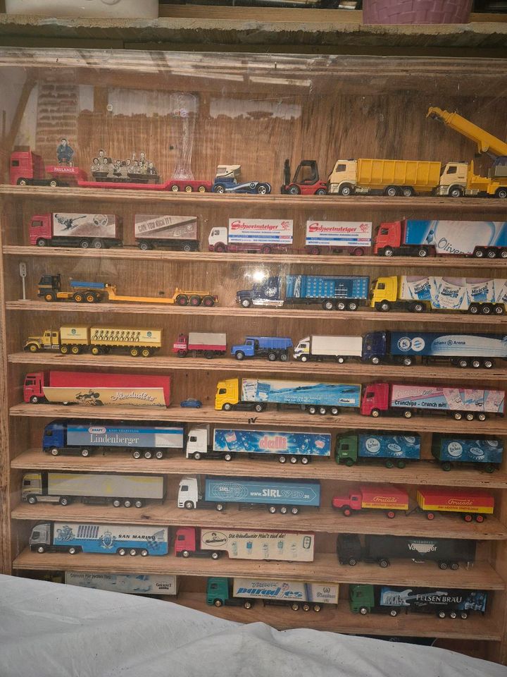 Modellautos 1:87 Trucks in München