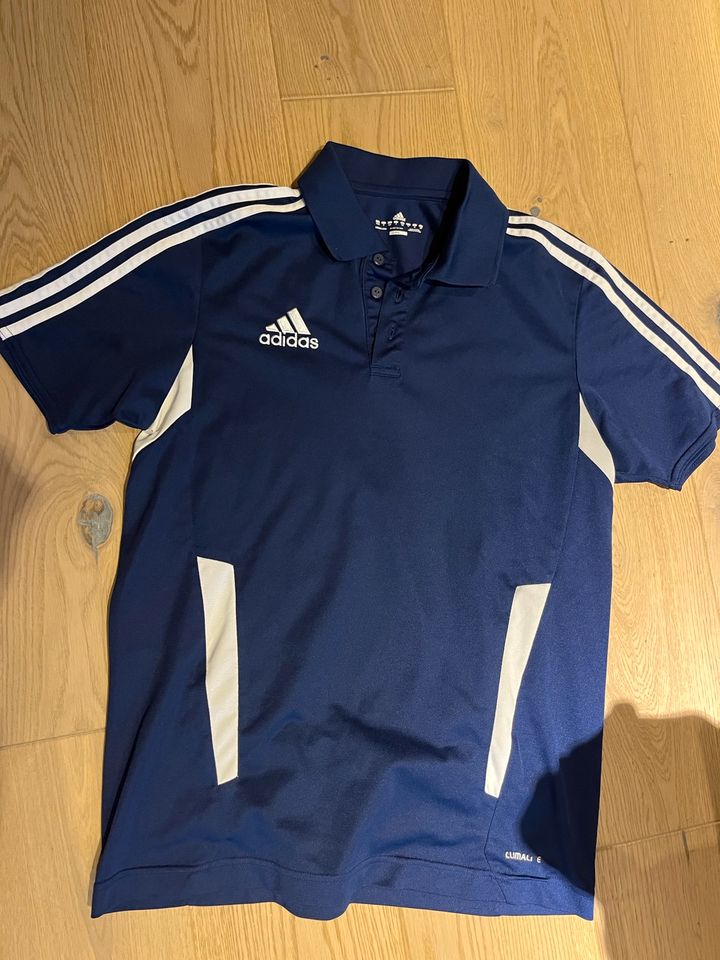 Adidas T Shirt Sport mit Kragen Adidas S in Bayern - Ebnath | eBay  Kleinanzeigen ist jetzt Kleinanzeigen