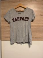 H&M Harvard Shirt grau S Niedersachsen - Damme Vorschau