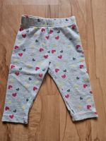 Leggings Gr.68 / Neu Nordrhein-Westfalen - Borgentreich Vorschau