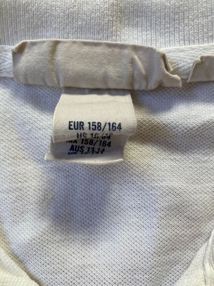 3 T-Shirt/Polo Jungen Gr. 158/164 Adidas, H&M, Zara in Reutlingen