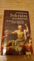 Sokrates antwortet | Buch Sachsen-Anhalt - Großkorbetha Vorschau