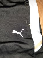 Puma Jogginghose/Trainingshose Nordrhein-Westfalen - Warburg Vorschau