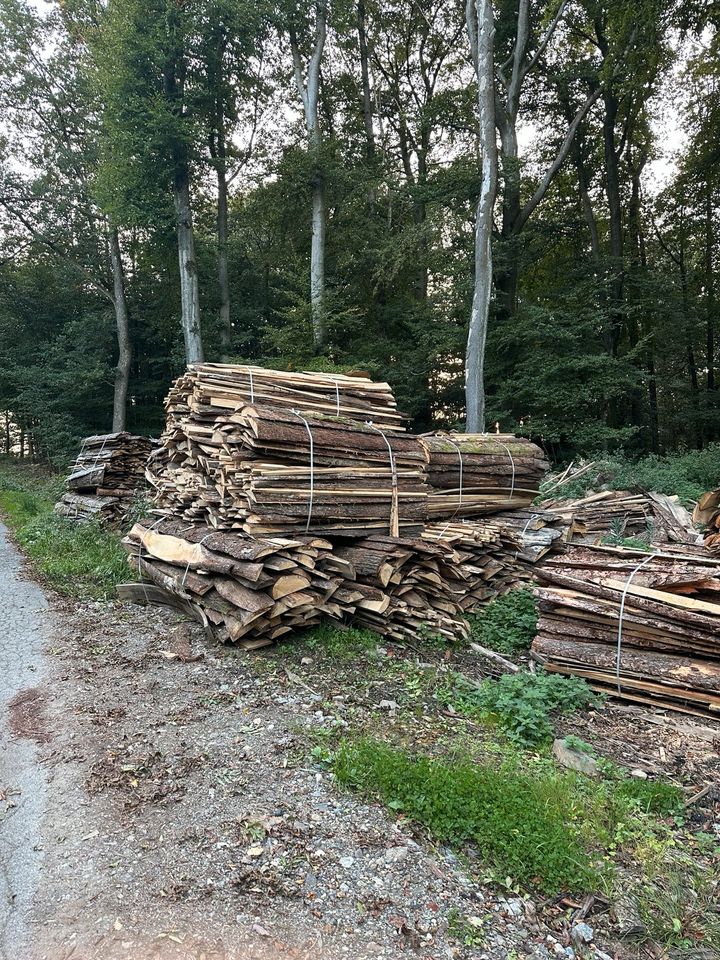 Brennholz Kaminholz zum selber sägen Eichen / Nadelholz Eichenbrennholz in Breckerfeld