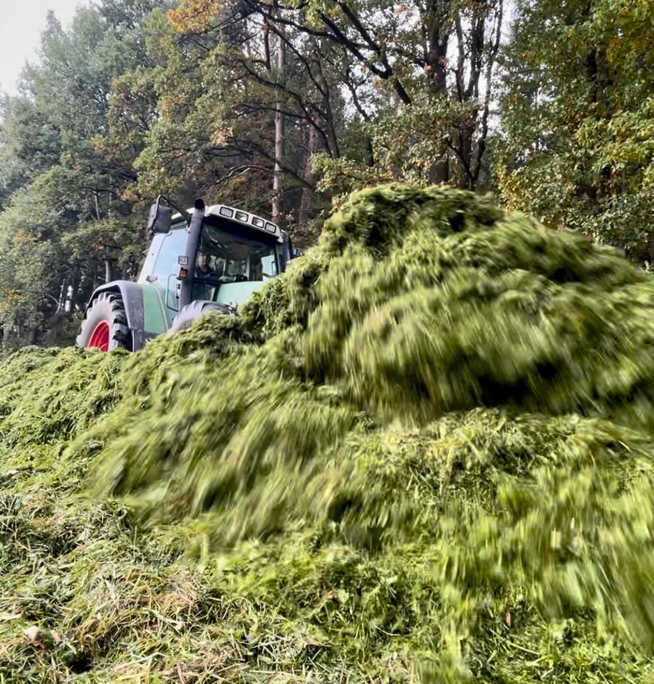 Hellwagner Rotorverteiler Siloverteiler Maisschild Schiebe schild in Bad Kötzting