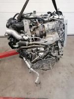 Motor Komplett NISSAN PULSAR MR16DDT 1,6 DIG-T 56.000km 12 Monate Brandenburg - Küstriner Vorland Vorschau