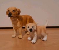 Schleich Hunde Golden Retriever Rarität Leipzig - Gohlis-Nord Vorschau