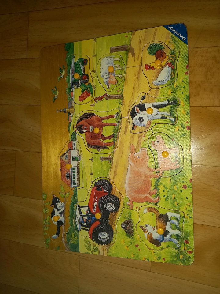 Ravensburger, Goki Steckpuzzle, Holz-Puzzle, Magnet-Puzzle in Bebra