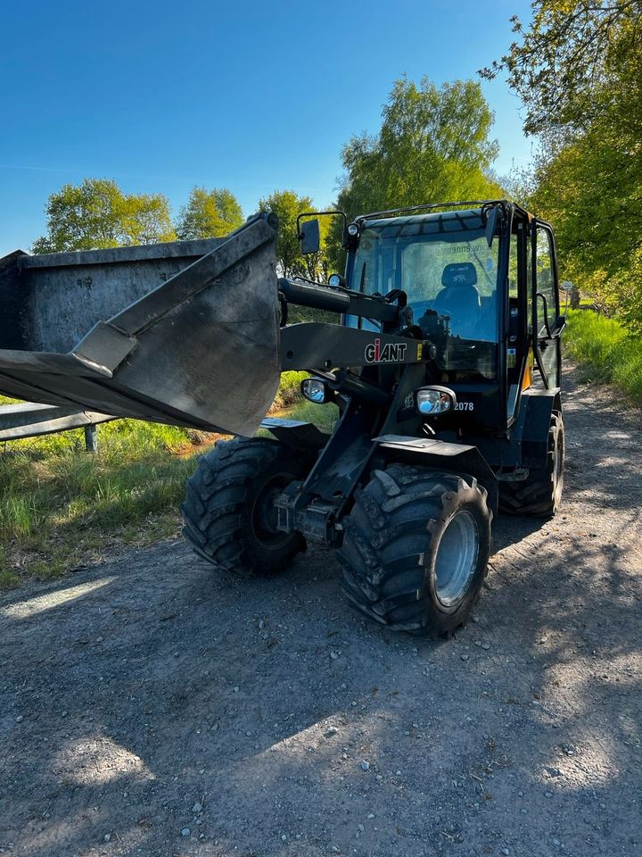 Radlader Giant V5003 X-tra HD in Papenburg