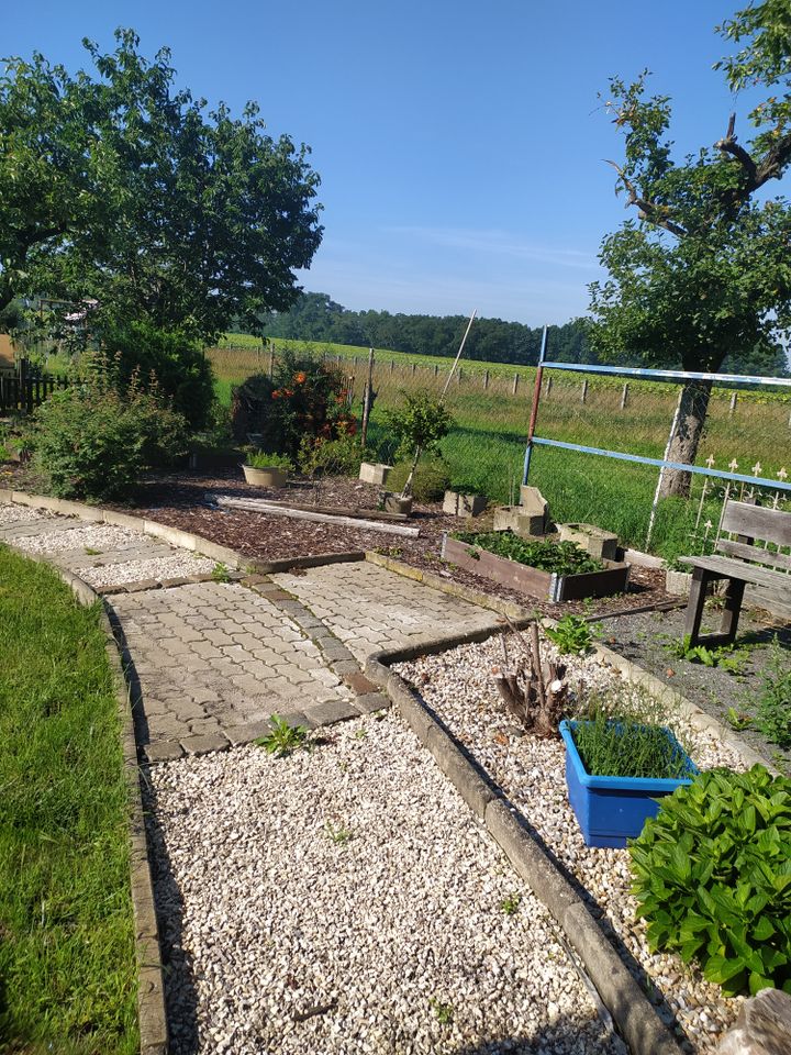 Garten zur Pacht in Bad Schmiedeberg