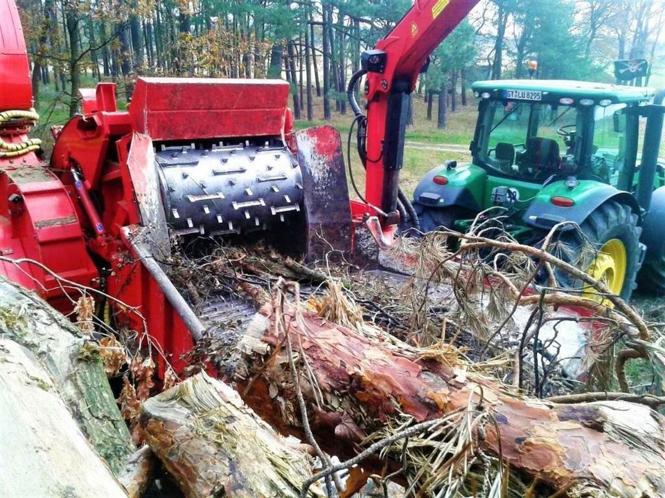 Holzhacken, Holzhäckseln, Forstarbeiten, Sturmschaden beseitigen in Rietberg