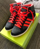 Adidas Neo Hoops Hightops Größe 38 Schleswig-Holstein - Großhansdorf Vorschau