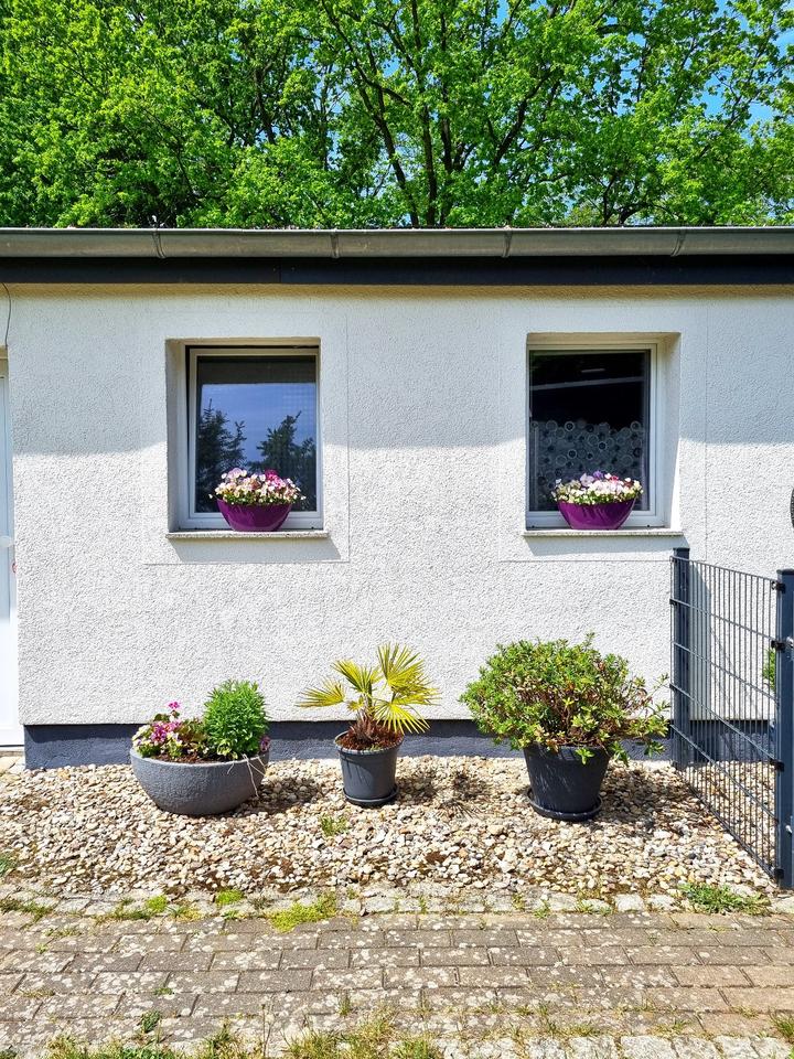 Ferienhaus am See mit Steg, Motorboot, E- Bikes, Paddelboote, SUP in Rheinsberg