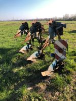 Rabe Wendepflug Star YE 3 Schar Nordrhein-Westfalen - Pulheim Vorschau