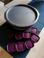 Tupperware Dampfgarer Microgourmet mit Kochbuch & vielem Zubehö Niedersachsen - Estorf Vorschau