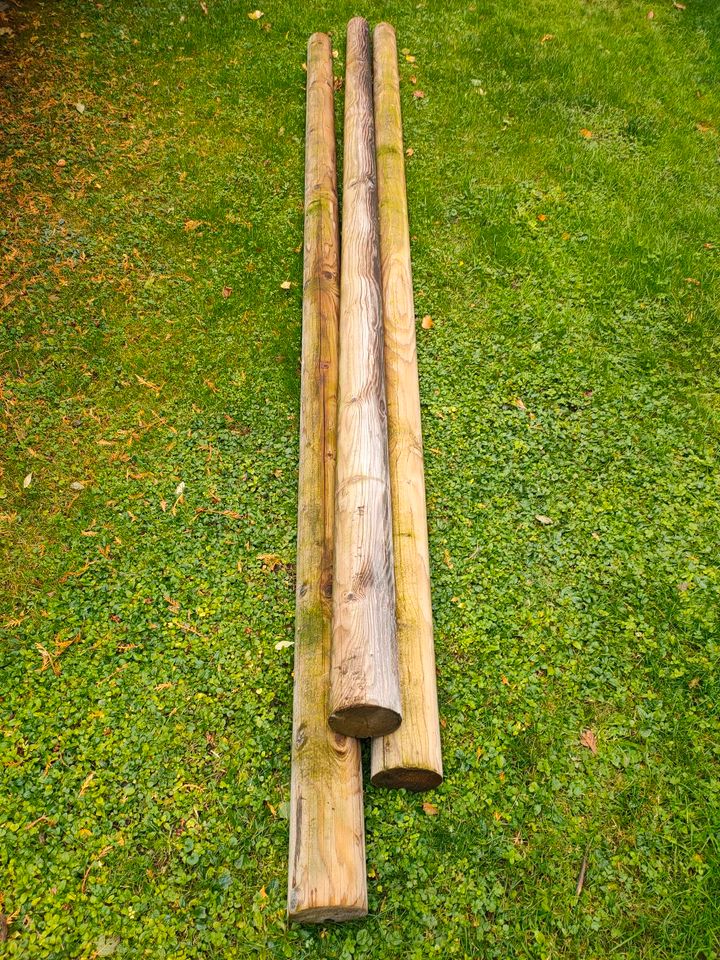 Schneefang Set Dachziegel Dachhaken Rundholz Dachpfannen Haken in Aschau im Chiemgau