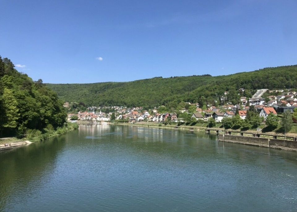 Ferienwohnung im schönen Odenwald Nähe Heidelberg in Abtsteinach