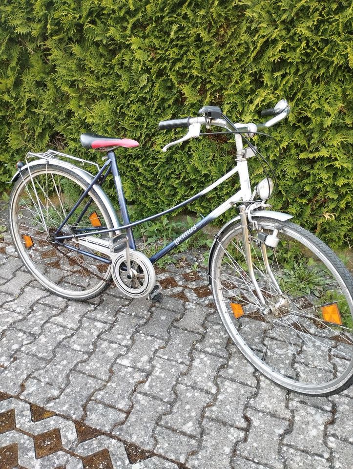 Damen Fahrrad in Stuttgart