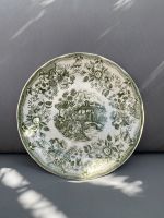 Ironstone Tableware Porzellan Teller Grün 25cm Herzogtum Lauenburg - Geesthacht Vorschau