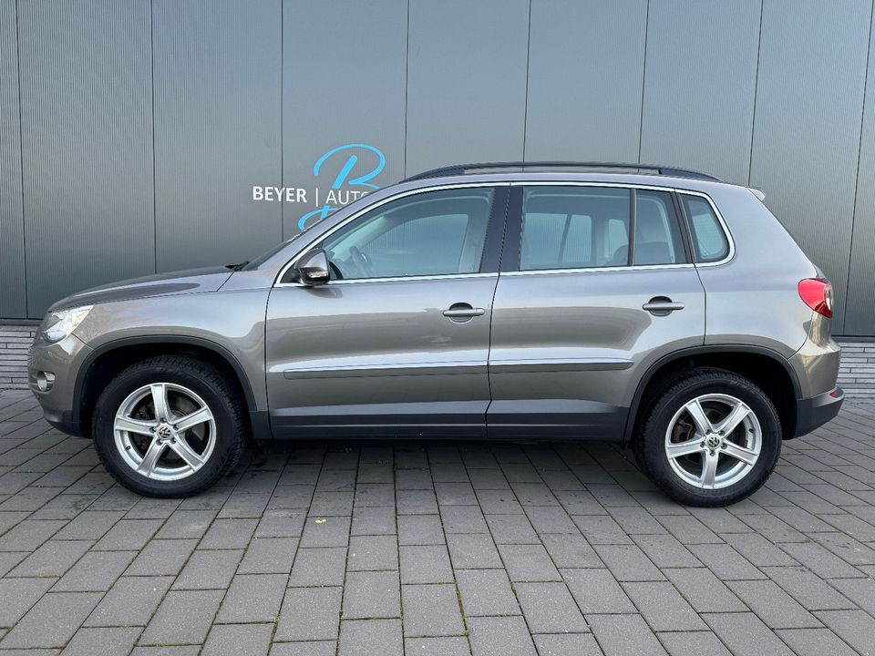 Volkswagen Tiguan 2.0 TSI 4MOTION "Track & Field"*PDC*SHZ* in Freren