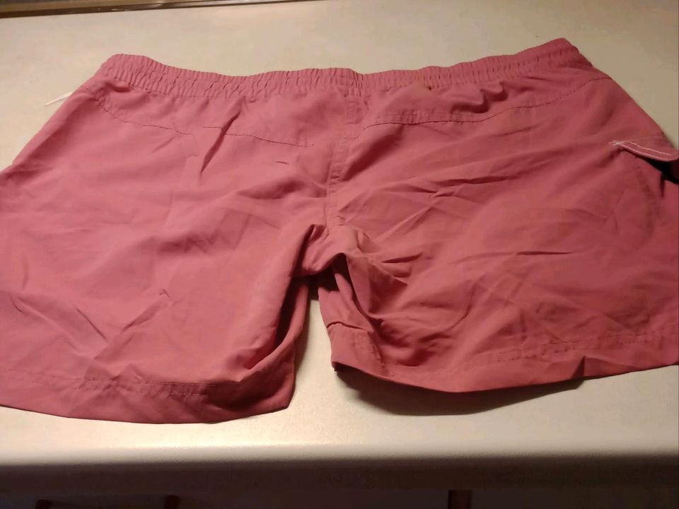 NEU!  Damen-Shorts / kurze Hose Gr. 44 ungetragen in Hambergen