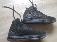 Nike LeBron 17 Basketballschuh US Modell schwarz/lila US10 EUR44 Eimsbüttel - Hamburg Niendorf Vorschau