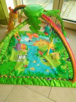 Baby Spielebogen fisher price rain forest Dschungel Bayern - Bruckberg bei Landshut Vorschau