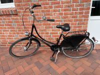 Godewind Fahrrad Hollandrad 26er 26 Zoll Niedersachsen - Südbrookmerland Vorschau