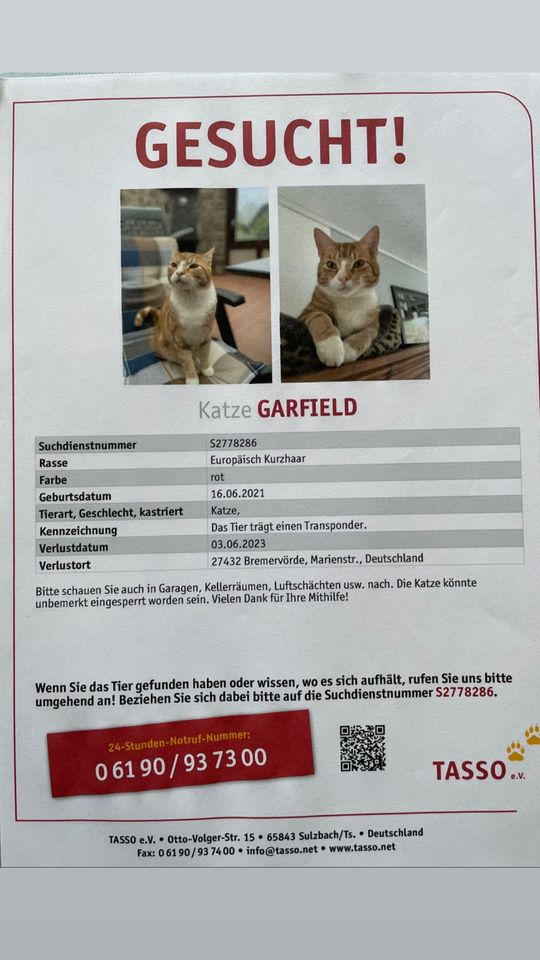 Vermisst wird Garfield in Bremervörde