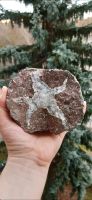 Mineralien Quarz Kristalle Rauchquarz Dekoration Esoterik Leipzig - Grünau-Ost Vorschau