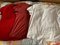 3er Set T-Shirts XL Bayern - Hollfeld Vorschau